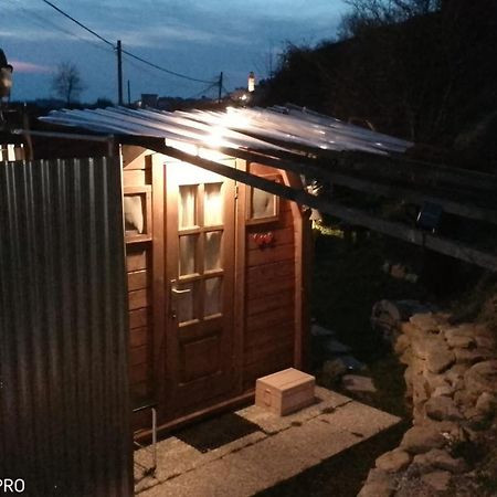 무라짜노 La Tana Dello Scoiattolo - Adults Only B&B 외부 사진