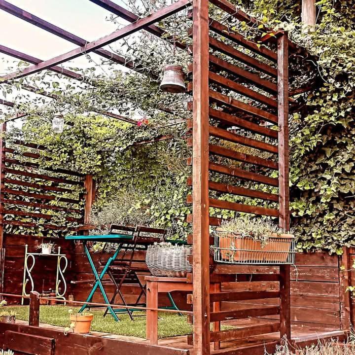 무라짜노 La Tana Dello Scoiattolo - Adults Only B&B 외부 사진