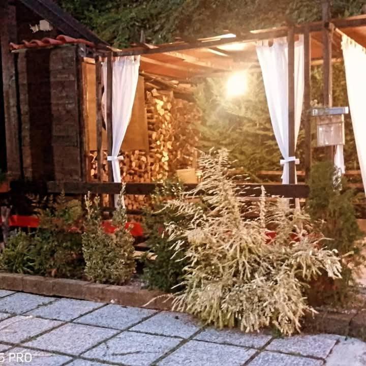 무라짜노 La Tana Dello Scoiattolo - Adults Only B&B 외부 사진